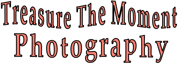  Treasure The Moment Photography